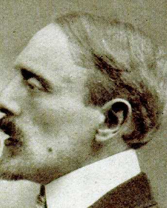 Selvatico Lino